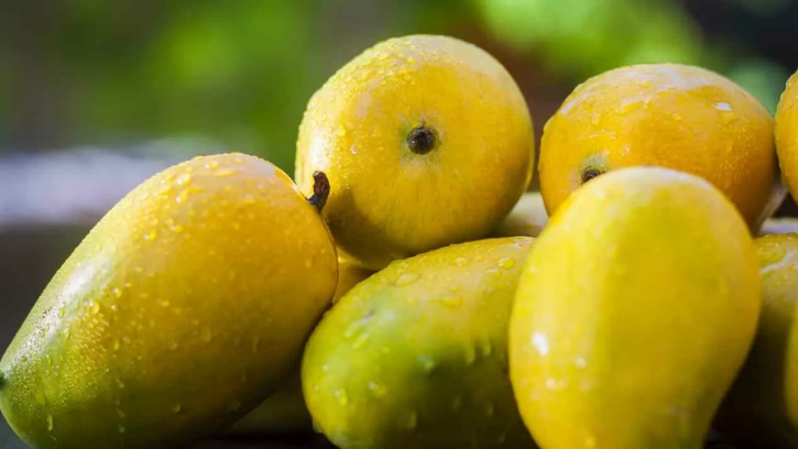 Langra Mango (लंगड़ा आम)